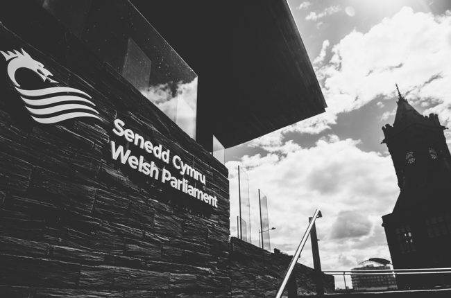 Y Senedd